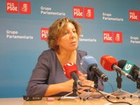 Gallego cree que el PSdeG tiene que prepararse "pronto" para las gallegas