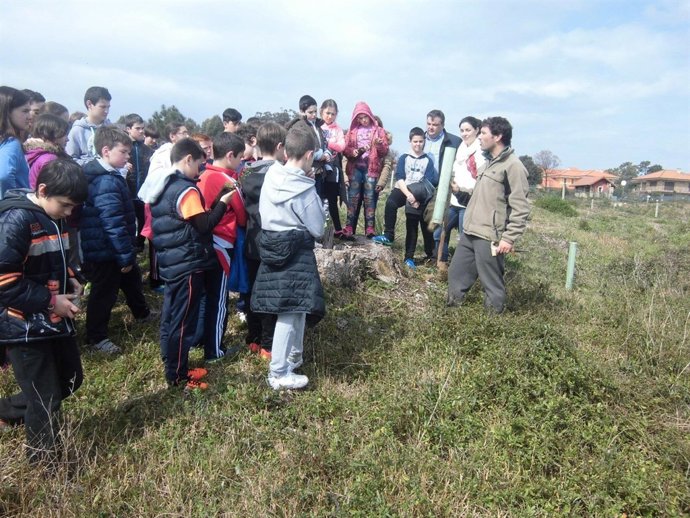 Plantación de árboles