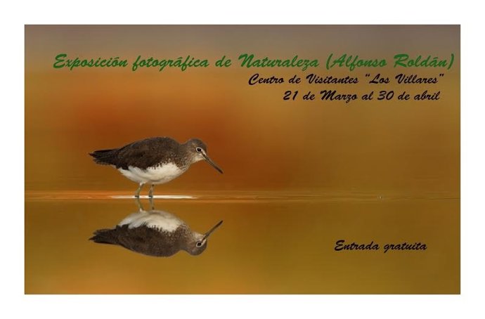 Cartel de la exposición fotográfica