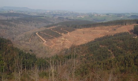 Cooperación y Desarrollo