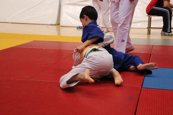 El judo es una disciplina deportiva que aporta importantes valores a los niños.