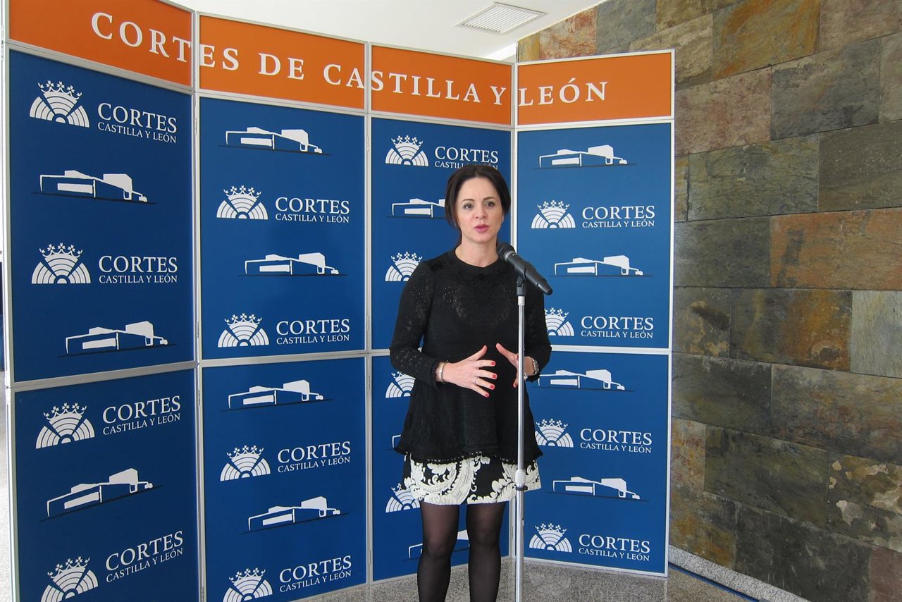 La presidenta de las Cortes, Silvia Clemente