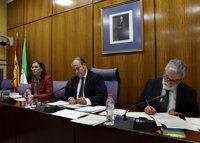 Jefa de servicio defiende cursos en sedes del PSOE si "cumplen los requisitos"