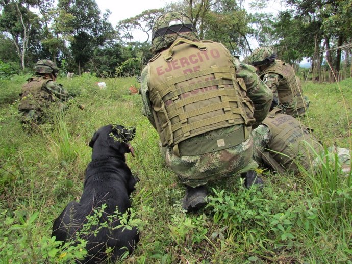 Ejército de Colombia