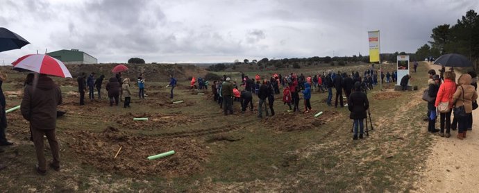 Reforestación Calidad Pascual