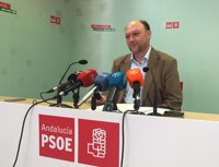 Pradas: Si Susana Díaz decide postularse "lo dirá directamente"