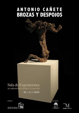 El Ayuntamiento De Málaga Informa: LA CONCEPCIÓN ACOGE LA EXPOSICIÓN BROZAS Y DE