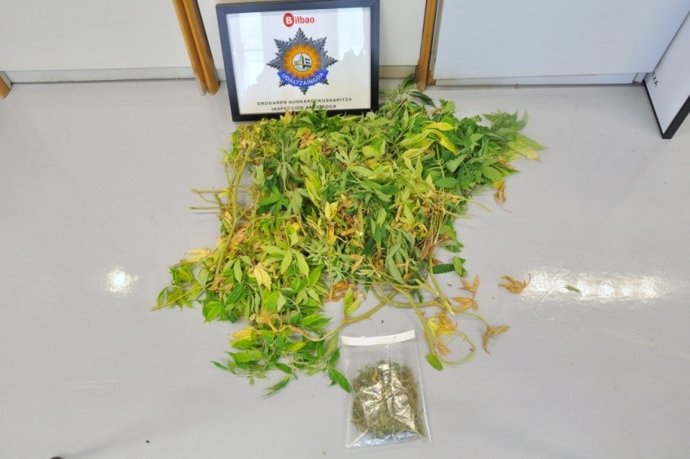 Incautación de marihuana