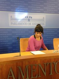 Rodríguez, convencida de que Díaz "sabía lo que se urdía" con la formación