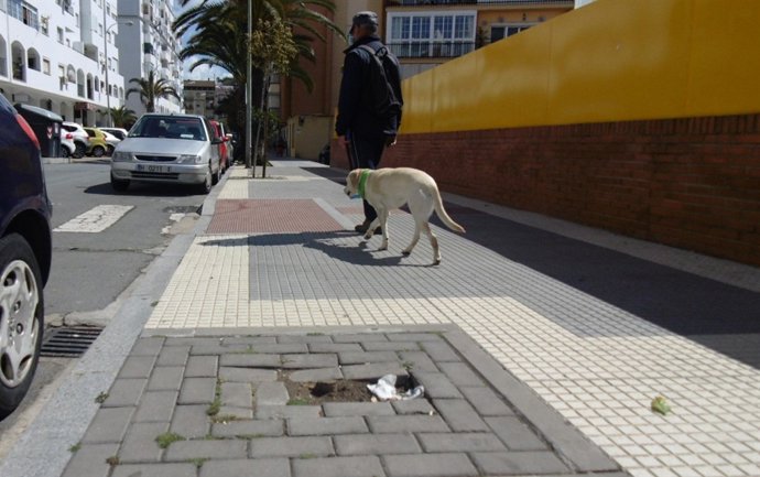 Alcorque vacío en Huelva