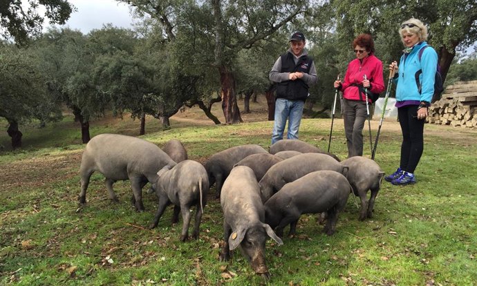 El grupo Nordic Walking conoce la provincia de Huelva