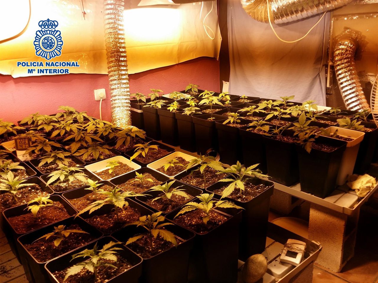 Nota De Prensa Y Dos Fotos