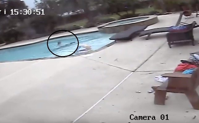 Niña de 5 años salva a su madre de ahogarse en una piscina 