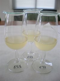 Un concentrado de madera de poda de viña, conservante natural del vino