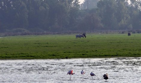 Cooperación y Desarrollo