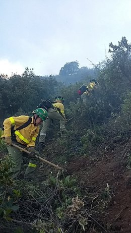 Efectivos del Infoca trabajando en un incendio en El Borge 