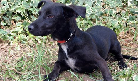 Cooperación y Desarrollo