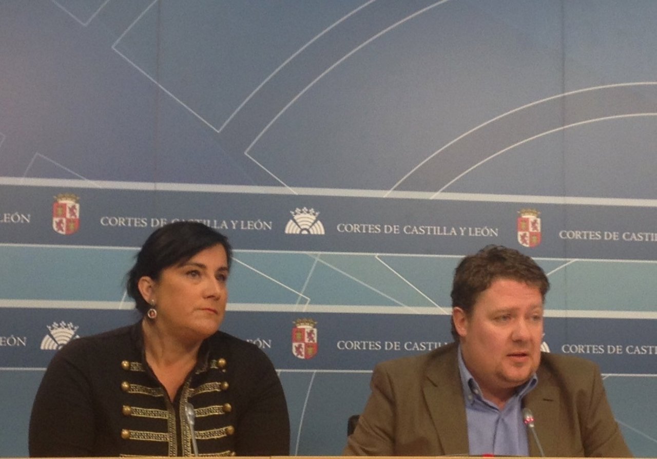 Grupo Parlamentario Socialista