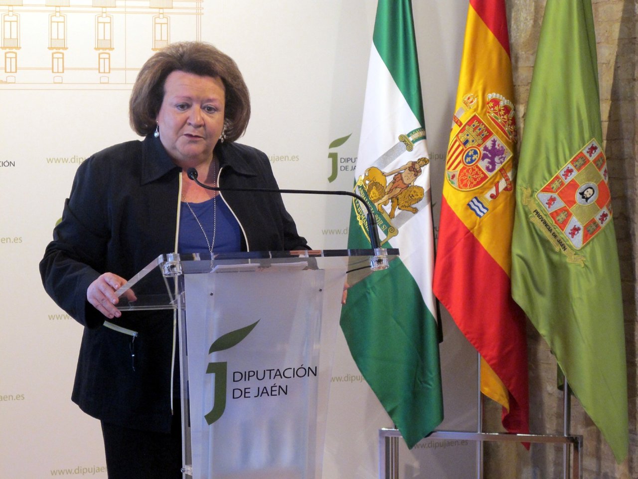 Pilar Parra presenta la liquidación 2015 del presupuesto de la Diputación.