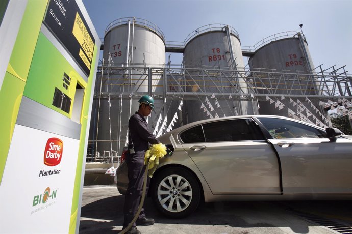 Employee pumps biodiesel fuel into a car 