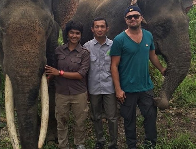 Leonardo DiCaprio en Indonesia