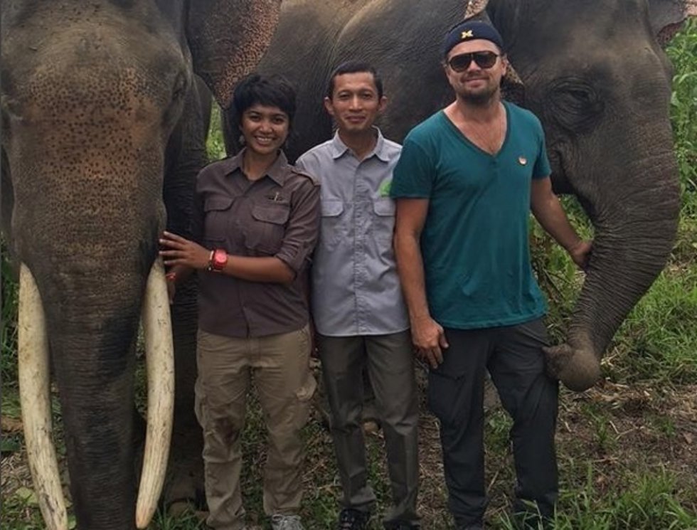 Leonardo DiCaprio en Indonesia