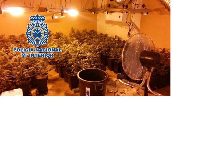 Nota De Prensa Con Enlace De Vídeo Y Dos Fotos