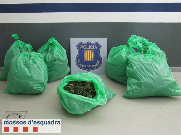 Un incendio desvela una plantación de marihuana en una vivienda de Gratallops