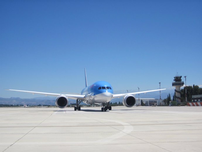 Aterrizaje de un Boeing 787 Dreamliner