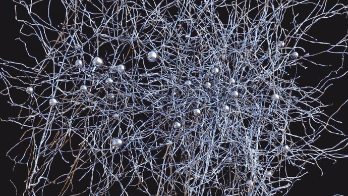 Publican una gran red de neuronas corticales