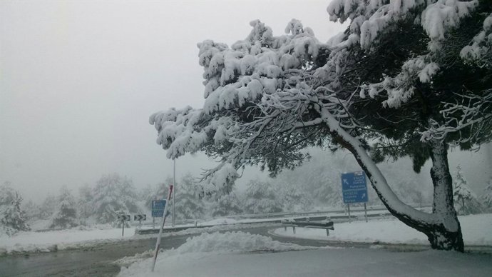 Nieve Euskadi