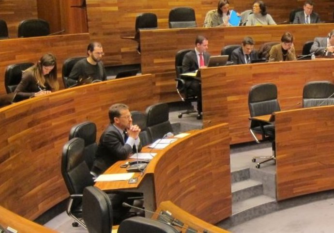 El consejero, durante el Pleno.