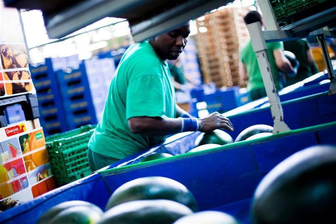 Sandías en Alhóndiga La Unión