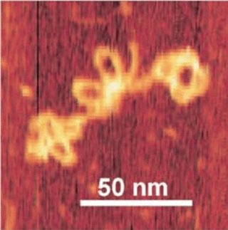 Nanoestructuras de ADN