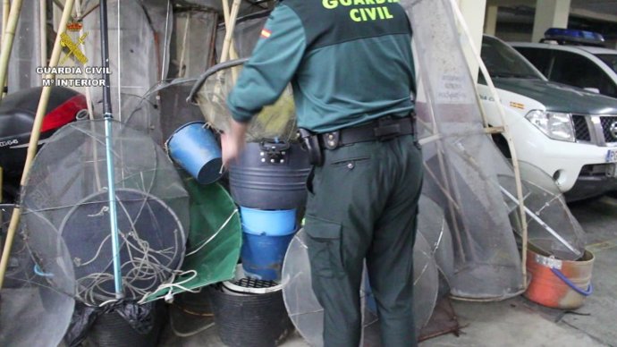 La Guardia Civil Detiene A 40 Personas Por La Pesca Ilegal De Angulas En Cantabr