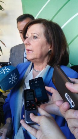La consejera de Igualdad y Políticas Sociales, María José Sánchez Rubio.