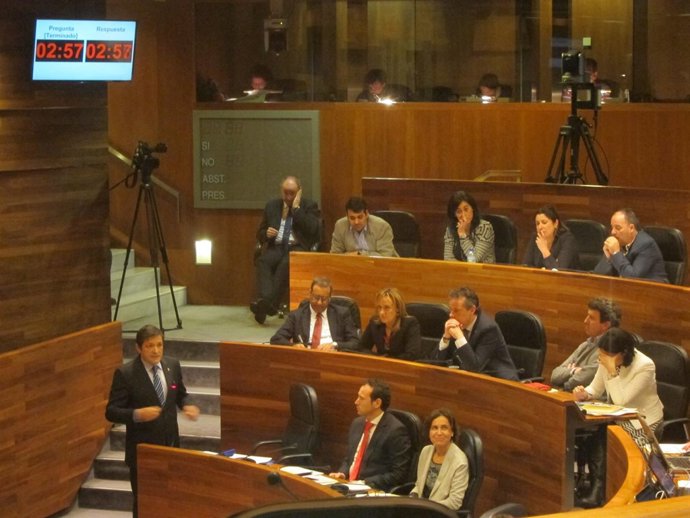 Javier Fernández interviene en la Cámara. 