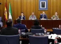 Exalcalde de Punta Umbría decide no declarar ante la comisión de formación