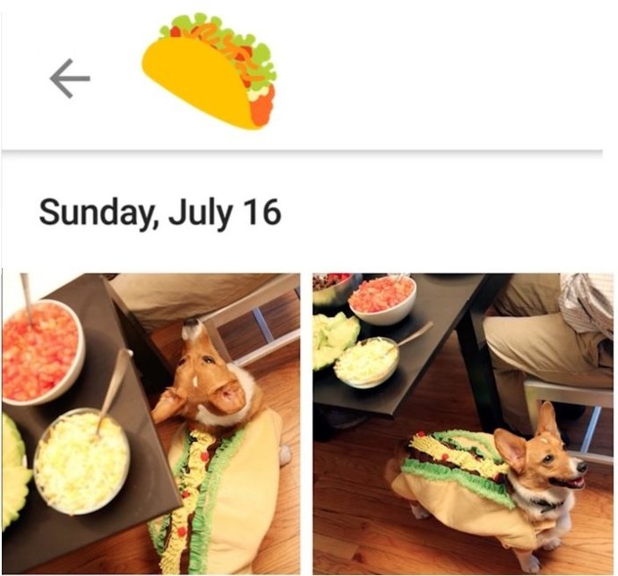 Búsquedas con emoji en Google Photos