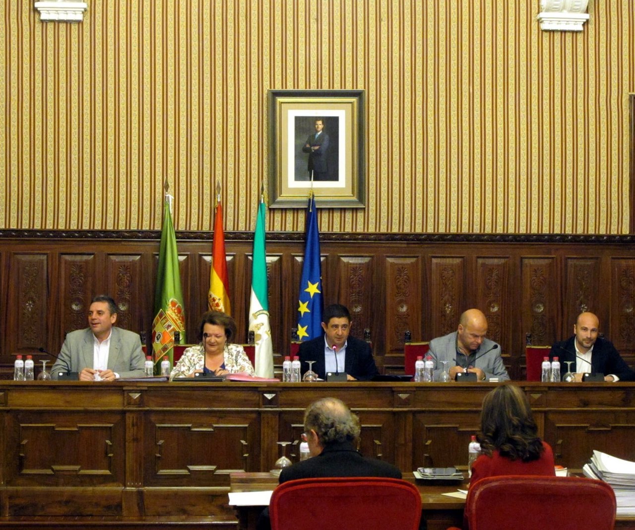 Celebración del pleno ordinario de la Diputación de Jaén.