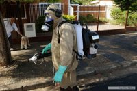 Confirman las dos primeras muertes por la epidemia de dengue en Argentina