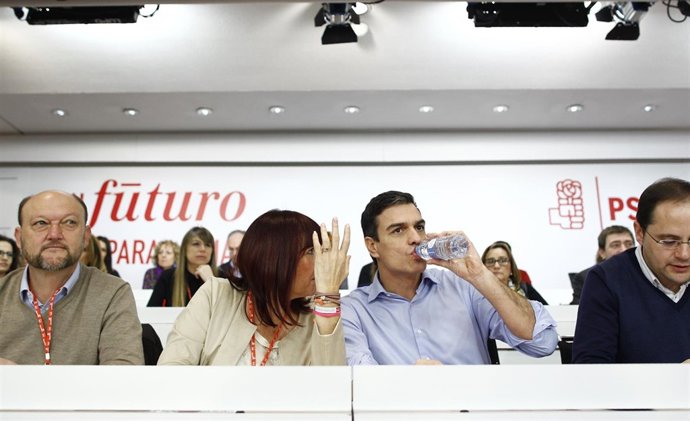 Pedro Sánchez ante el Comité Federal del PSOE