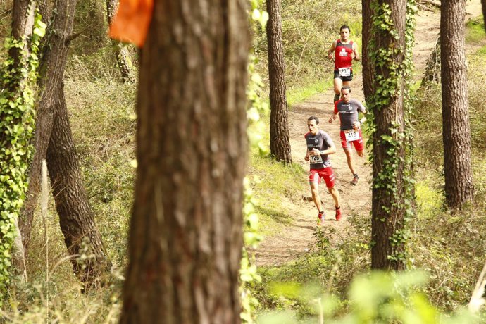 Imagen del Trail Costa Quebrada de 2015