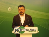 PP-A: Los votantes "acabarán castigando" las "peleas constantes" entre Sánchez y Díaz