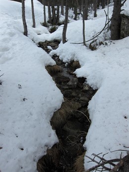 Riachuelo cauce de agua con nieve