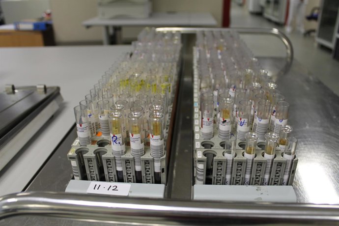 Hospital, Laboratorio, Químicos, Tubos de ensayo