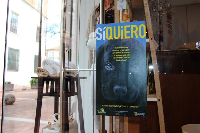 Campaña de tenencia responsable de mascotas