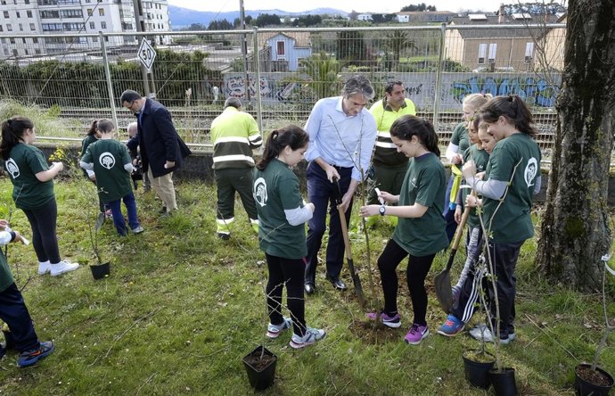 Plantación árboles