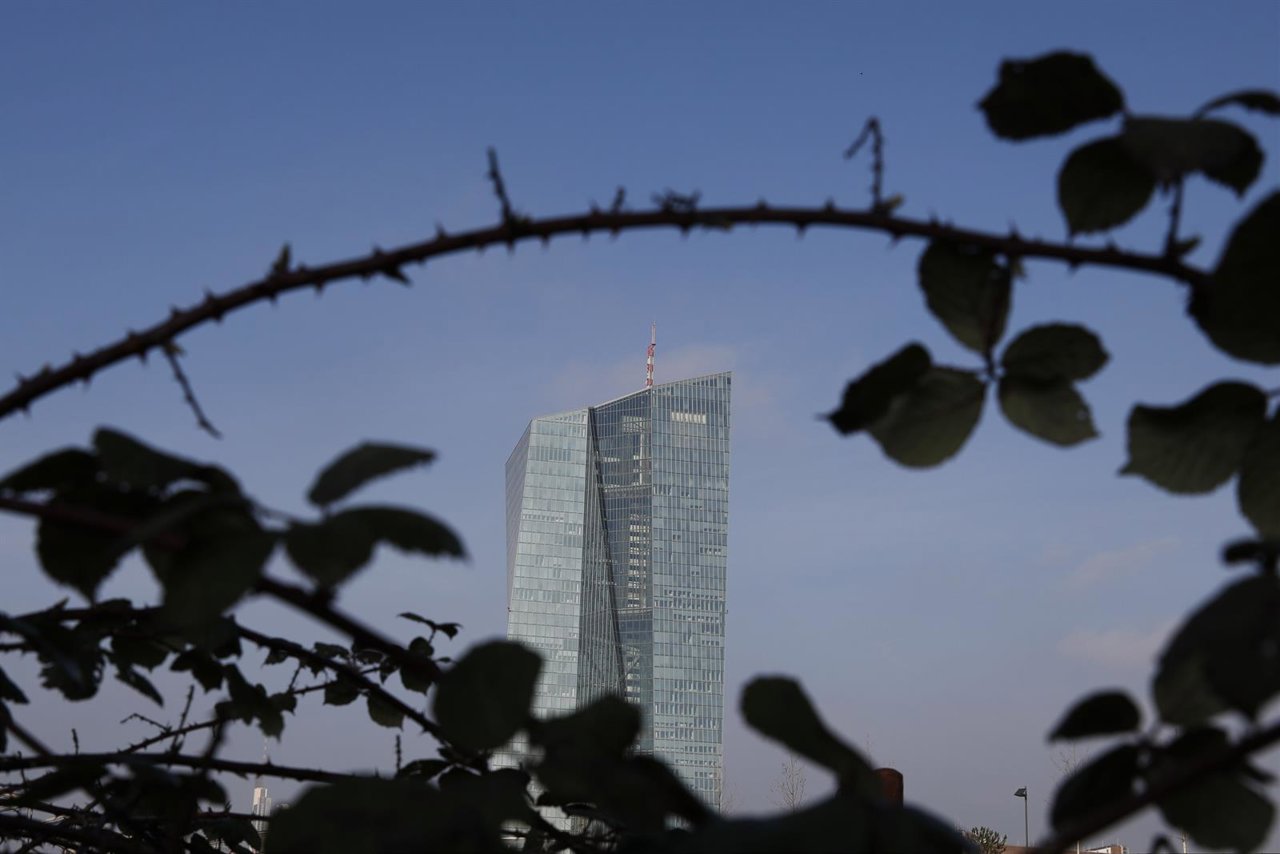 Thorns of berry bushes are silhouetted to frame the new ECB headquarters in Fran
