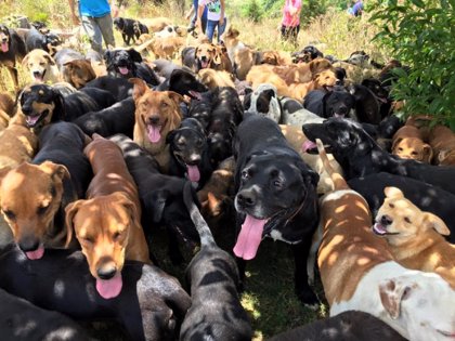 El Cielo En La Tierra De Los Perros Existe Y Esta En Costa Rica